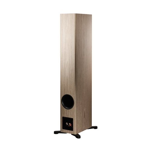 Dynaudio Evoke 50 (Blonde Wood) задняя панель